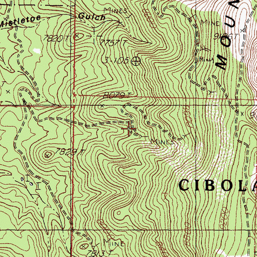 Topographic Map of Linchburg Mine, NM