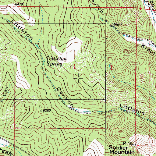 Topographic Map of Silver Nugget Mine, NM