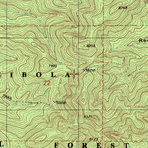 Topographic Map of American Contact Mine, NM