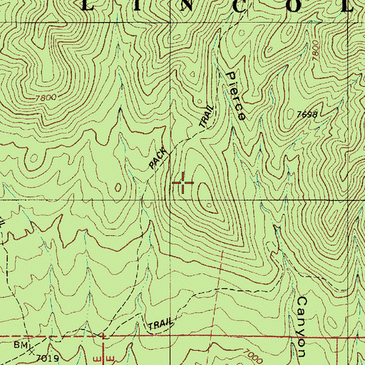 Topographic Map of Bearcat Mine, NM