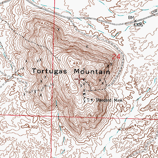 Topographic Map of Tortugas Mine, NM