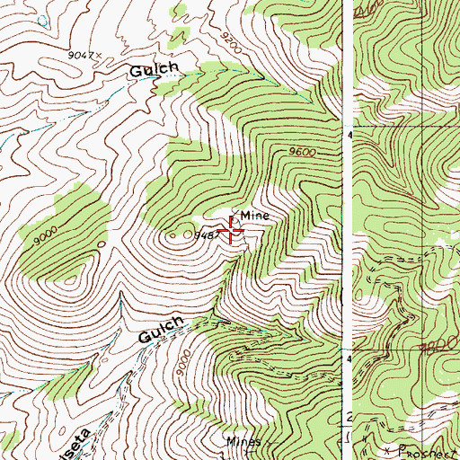 Topographic Map of Black Hat Mine, NM