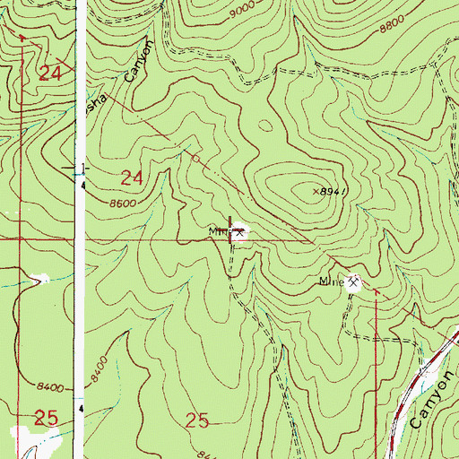 Topographic Map of Tojo Mine, NM