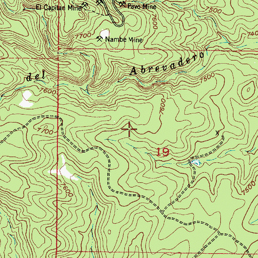 Topographic Map of White Mule Mine, NM
