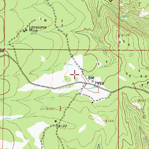Topographic Map of Werner Mine, NM