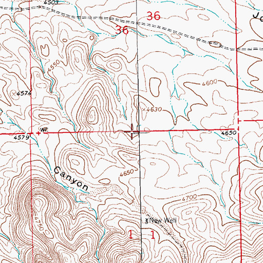 Topographic Map of Bug House Mine, NM