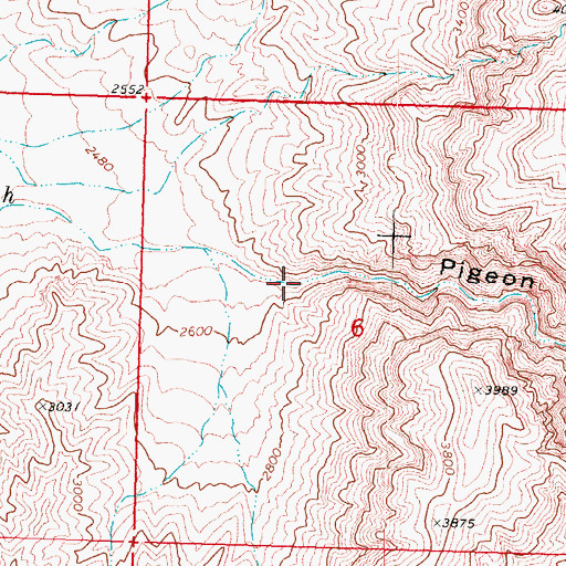 Topographic Map of Pigeon Canyon, AZ
