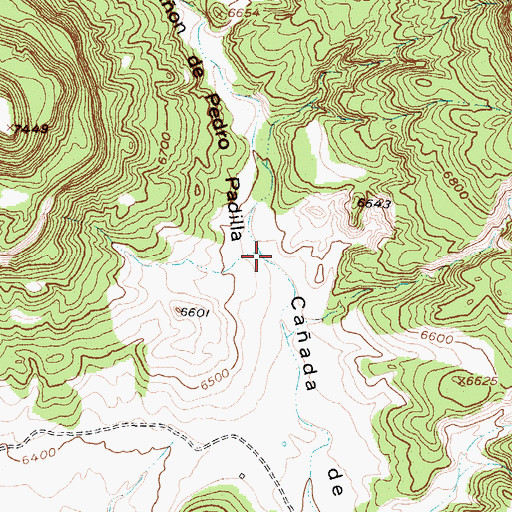 Topographic Map of Caon de Pedro Padilla, NM