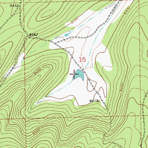 Topographic Map of Windmill Tank, NM
