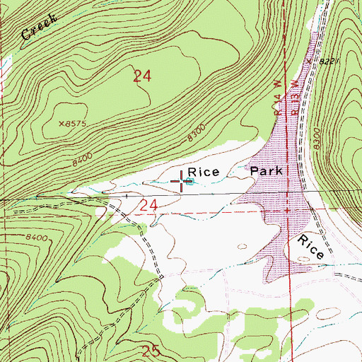 Topographic Map of Prairie Dog Tank, NM