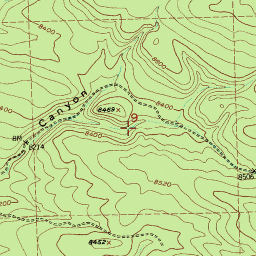 Topographic Map of Little Trough Spring, NM