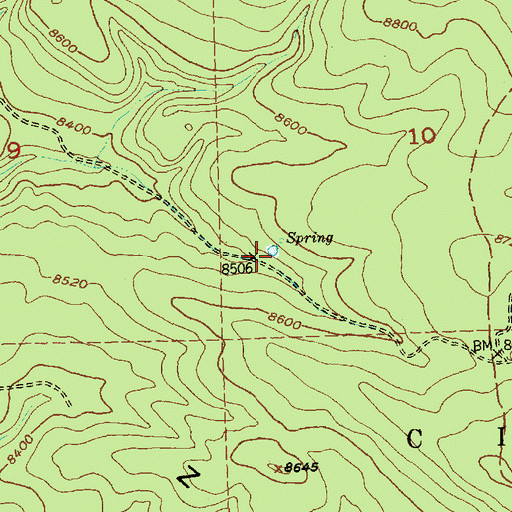 Topographic Map of Ojo Bonito, NM