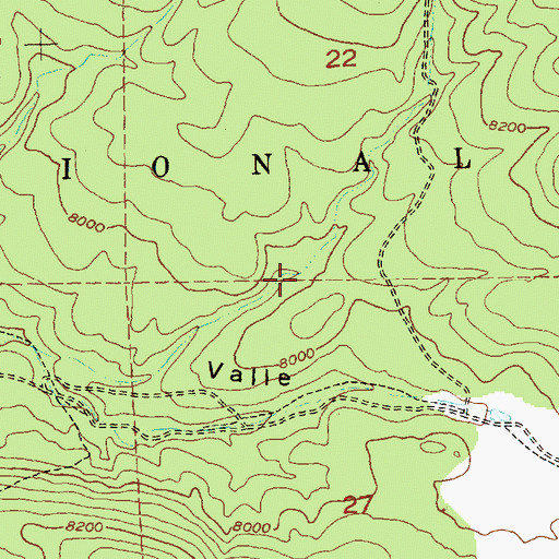 Topographic Map of Mule Spring, NM
