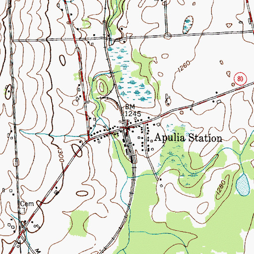 Topographic Map of Apulia Station, NY