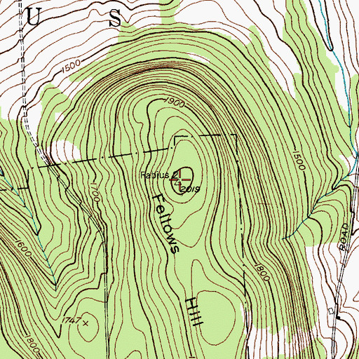 Topographic Map of Fellows Hill, NY