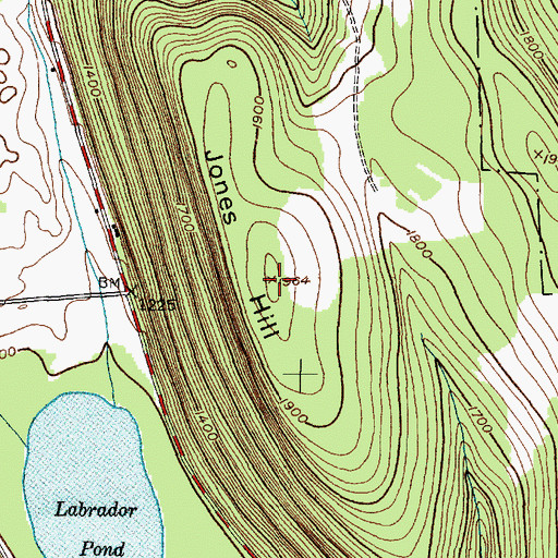 Topographic Map of Jones Hill, NY