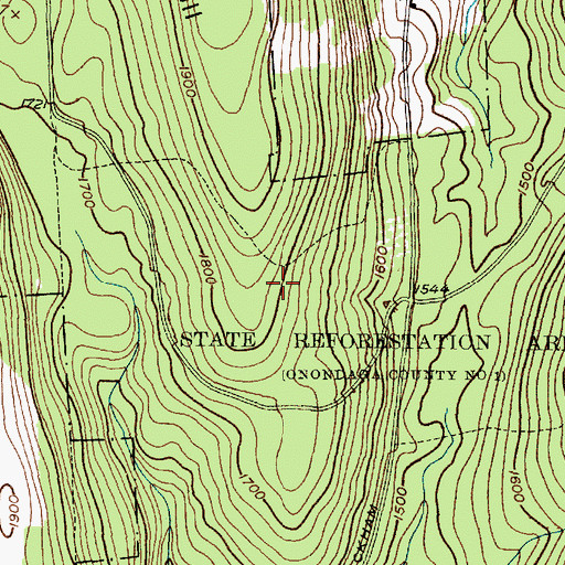 Topographic Map of State Reforestation Area, NY