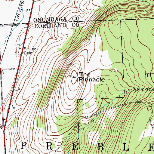 Topographic Map of The Pinnacle, NY