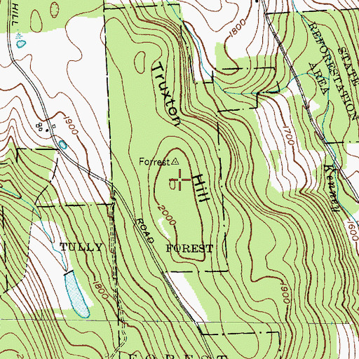 Topographic Map of Truxton Hill, NY