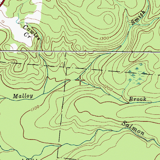 Topographic Map of Finnegan Brook, NY