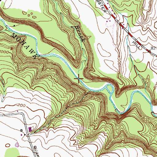 Topographic Map of Haynes Brook, NY