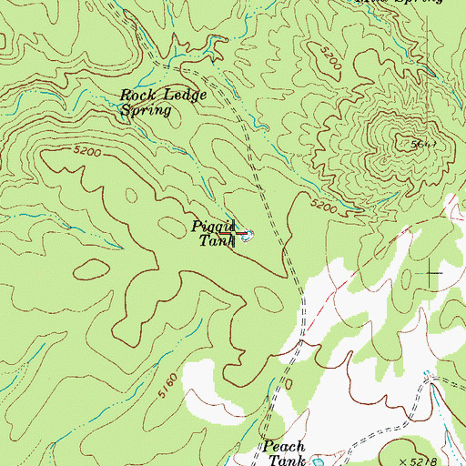 Topographic Map of Piggie Tank, AZ