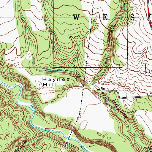 Topographic Map of Turtle Lot Brook, NY