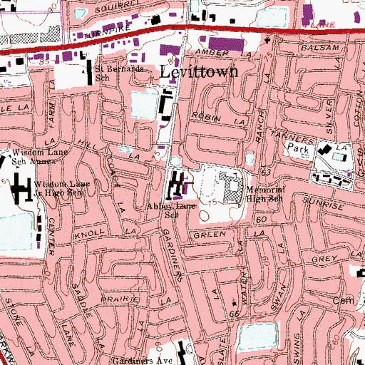 Topographic Map of Abbey Lane School, NY