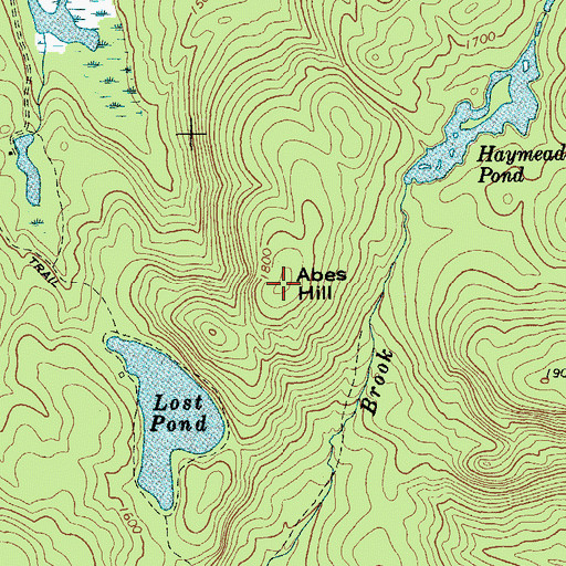 Topographic Map of Abes Hill, NY
