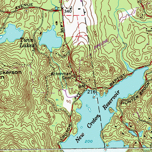 Topographic Map of Ackerman Cemetery, NY