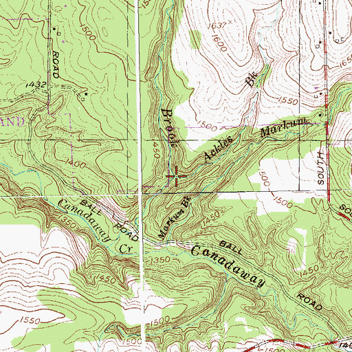 Topographic Map of Ackles Brook, NY