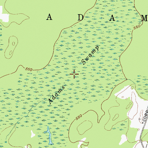 Topographic Map of Adams Swamp, NY