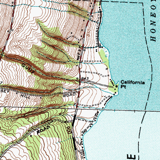 Topographic Map of Affolter Gully, NY