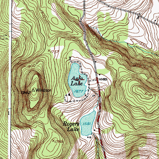 Topographic Map of Agfa Lake, NY