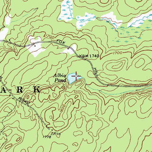 Topographic Map of Albia Pond, NY