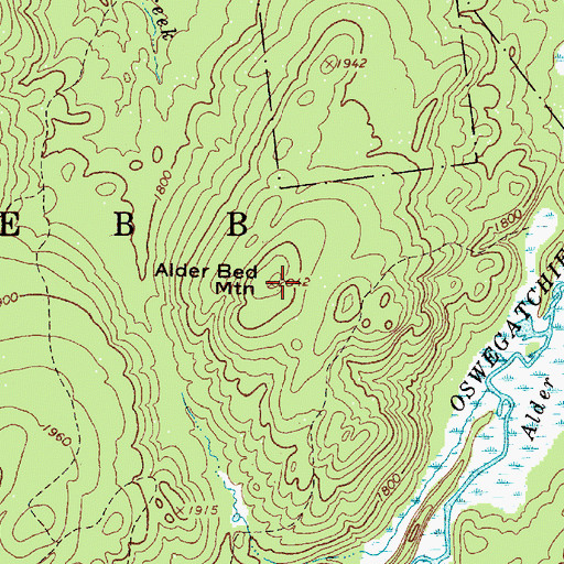Topographic Map of Alder Bed Mountain, NY