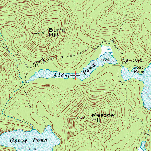 Topographic Map of Alder Pond, NY