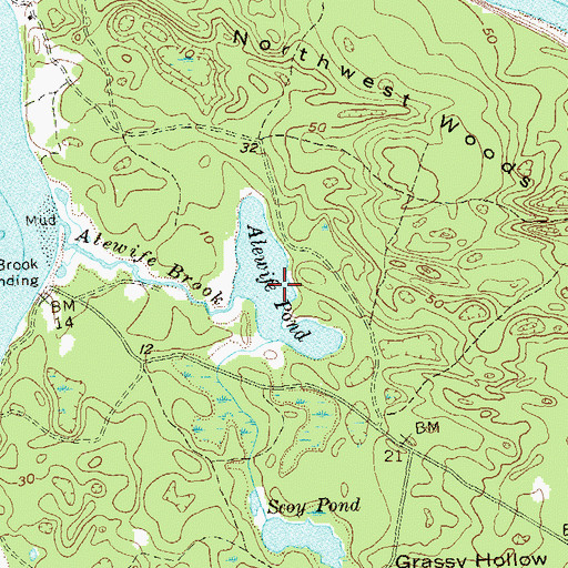 Topographic Map of Alewife Pond, NY
