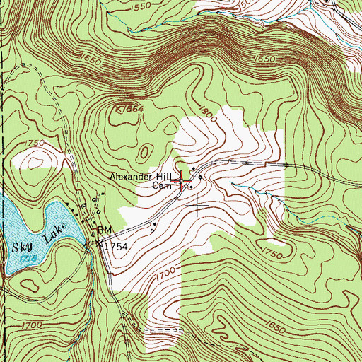 Topographic Map of Alexander Hill Cemetery, NY