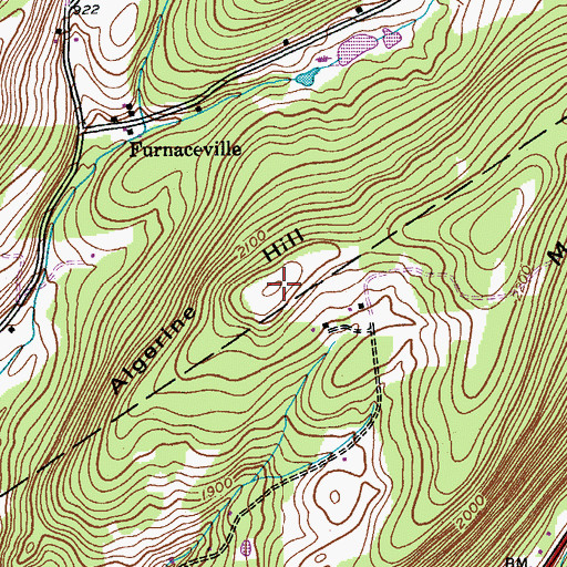 Topographic Map of Algerine Hill, NY