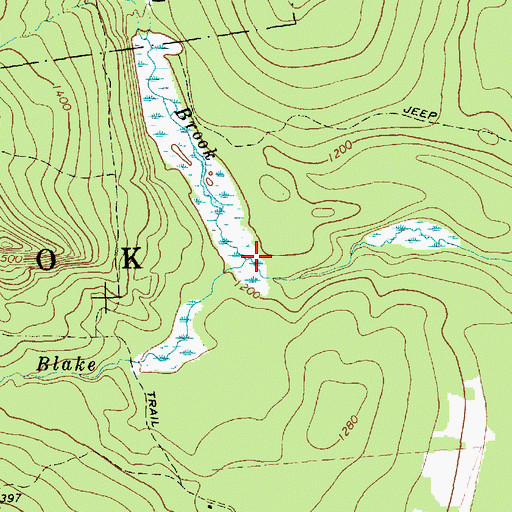 Topographic Map of Allegany Brook, NY