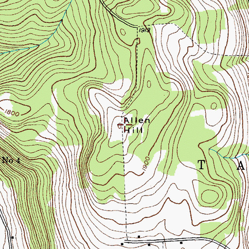 Topographic Map of Allen Hill, NY