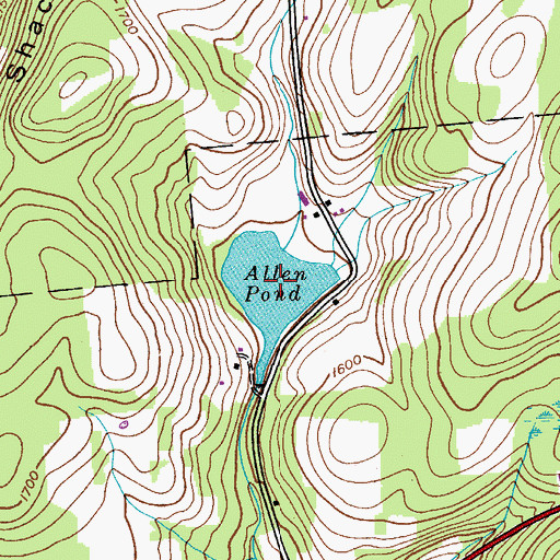 Topographic Map of Allen Pond, NY