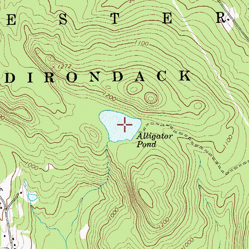 Topographic Map of Alligator Pond, NY