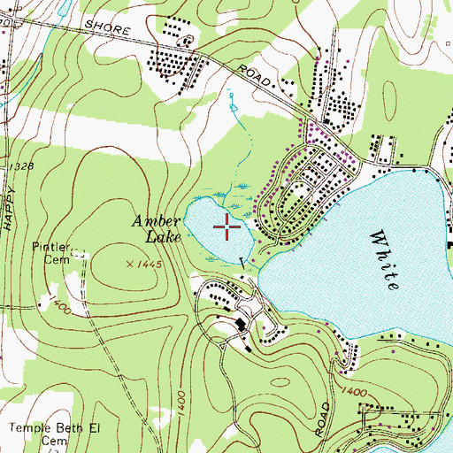 Topographic Map of Amber Lake, NY
