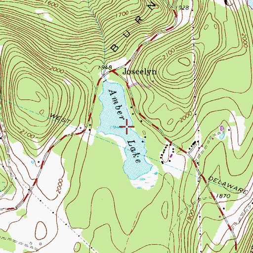 Topographic Map of Amber Lake, NY