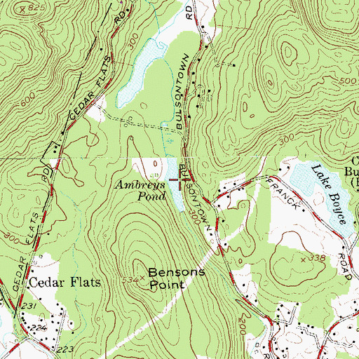 Topographic Map of Ambreys Pond, NY