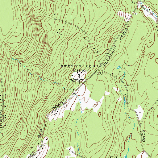 Topographic Map of American Legion Camp, NY