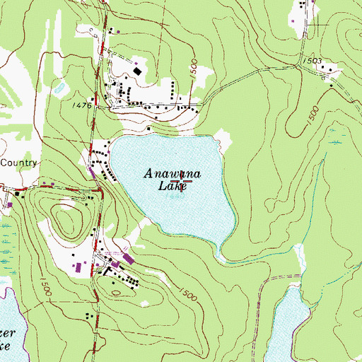 Topographic Map of Anawana Lake, NY
