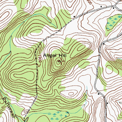 Topographic Map of Angel Hill, NY